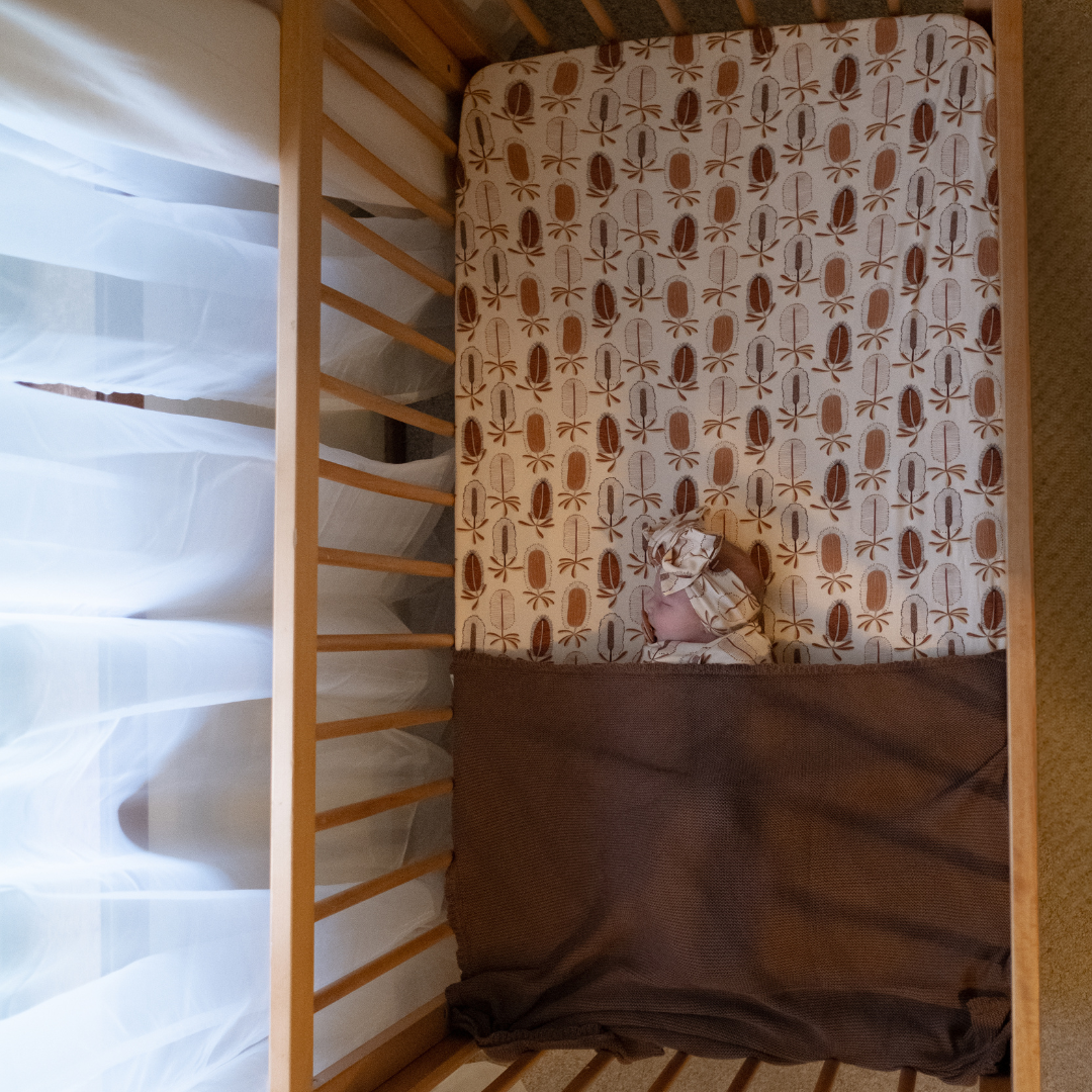 COT SHEET - Banksii