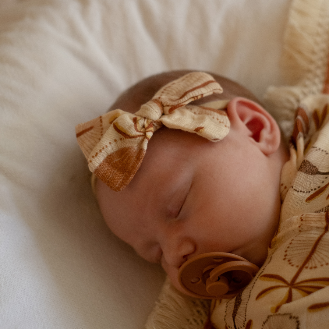 MUSLIN BOW - Banksii