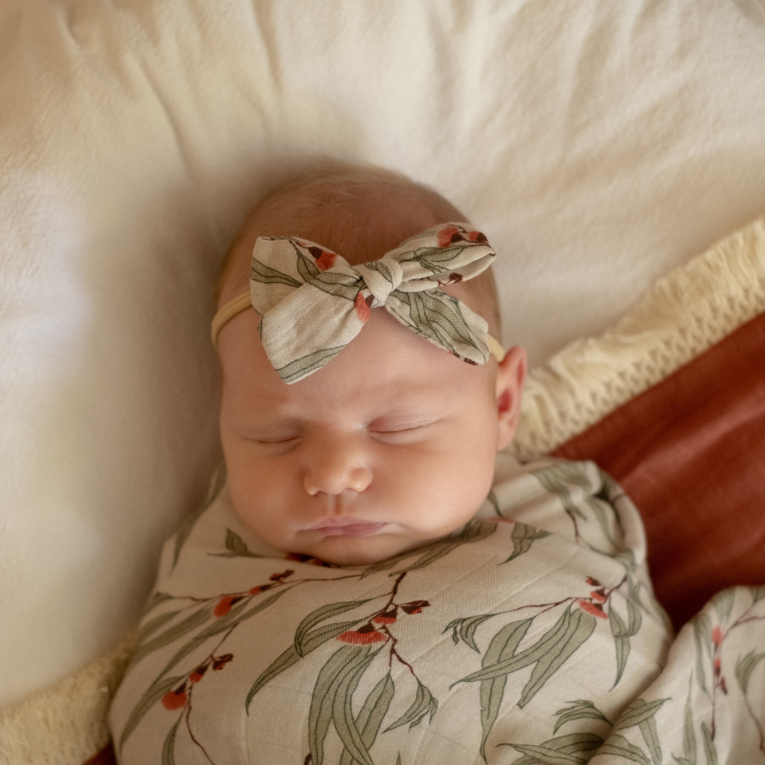 MUSLIN BOW - Euca