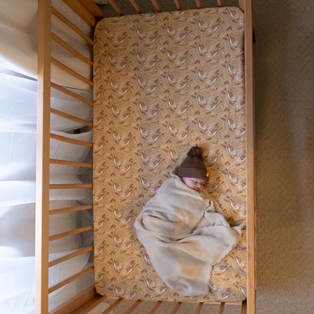 COT SHEET - Jack
