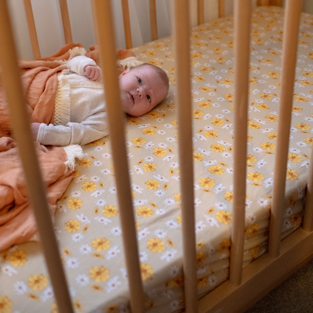 COT SHEET - Maeve