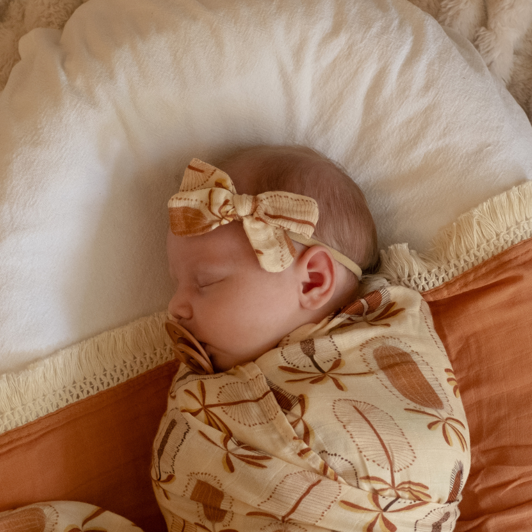 MUSLIN BOW - Banksii